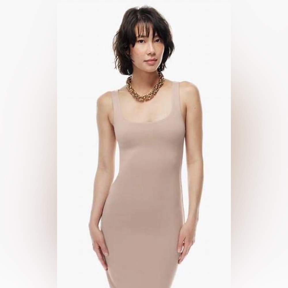 Aritzia- Babaton Sleeveless Contour Midi Dress